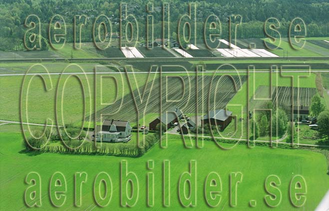 FFF 03006, #16. FFF 03006_0016 (Uppges vid kontakt med Svenska Aero-Bilder AB)